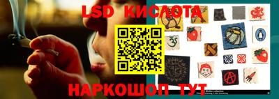 прущие грибы Гусев