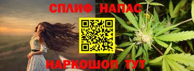 прущие грибы Гусев
