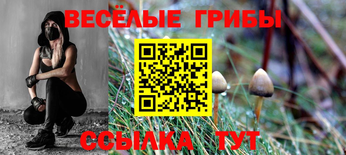 Миллерово  Галлюциногенные грибы MAGIC MUSHROOMS  Псилоцибиновые грибы ЛСД  Вход с VPN 